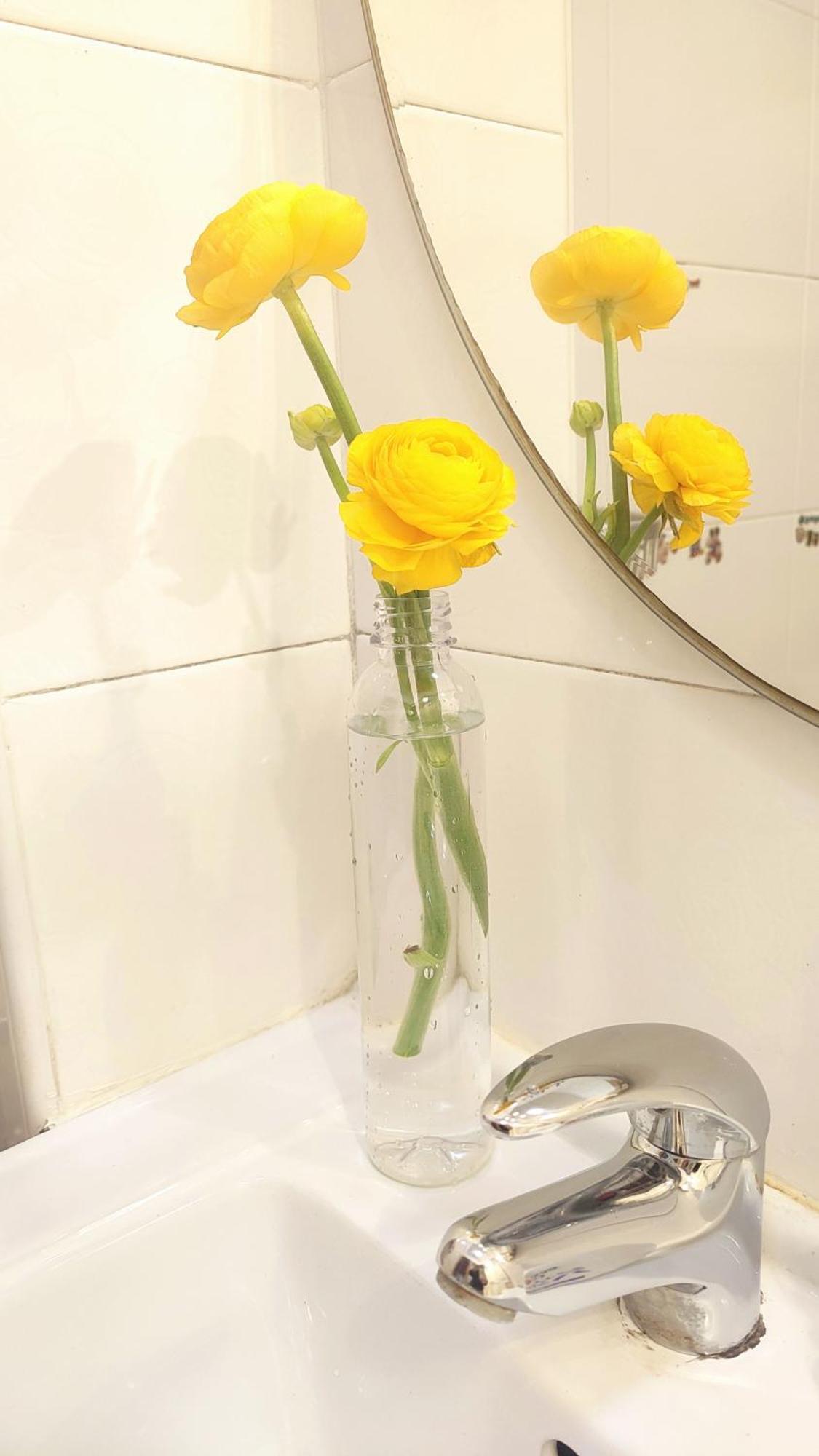 Lily'S Home Thượng Hải Ngoại thất bức ảnh
